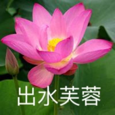 神仙名单无限元宝版下载